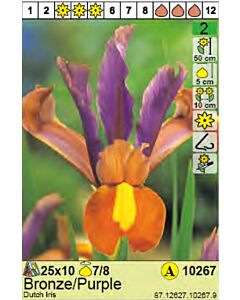 Ирис Dutch Bronze/Purple - Пакет: 1 оп.- 10 бр.
