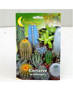 Кактуси - микс - CACTACEE MIX MEGA PACK - BL