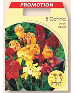 Кана Dwarf микс / Canna dwarf mixed /	1 оп ( 5 бр )