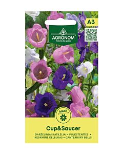 СК СЕМЕНА КАМПАНУЛА CUP & SAUCER SK