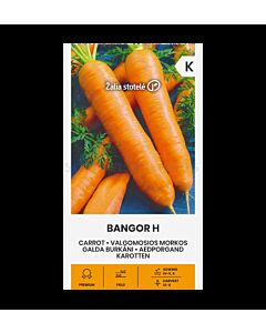 СК СЕМЕНА МОРКОВИ BANGOR H