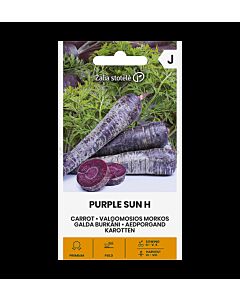 Морков (лилав) PURPLE SUN H - 'SK - 0,5г