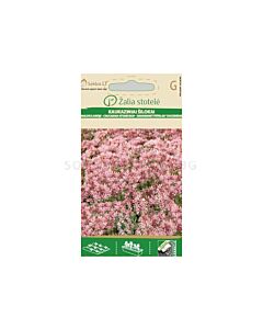 Седум Spurium - Sedum - 'SK- 0,15 г