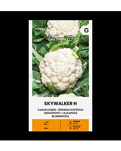 СК КАРФИОЛ СКАЙУОКЪР Х СКАCAULIFLOWER, SKYWALKER H
