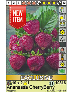 ягоди Cherry Berry