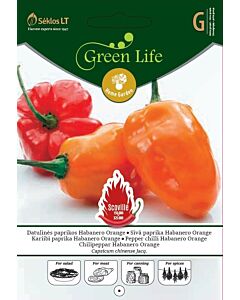 Семена чили пипер Хабанеро оранж /PEPPER CHILLI HABANERO ORANGE/ 'SK - 1 оп