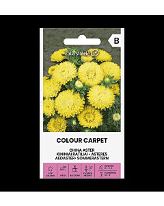 Астра жълта ASTER CHINA, COLOUR CARPET YELLOW - 'SK - 0.5г