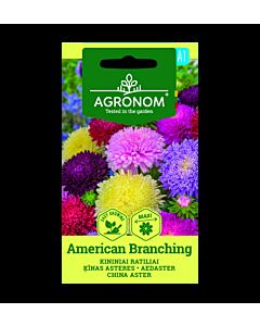 АСТРА CHINA ASTER, AMERICAN BRANCHING СК