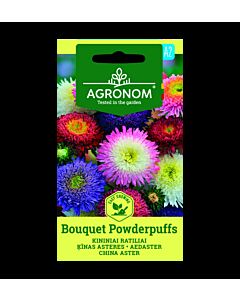 АСТРА CHINA ASTER, BOUQUET POWDERPUFF СК