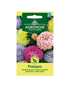 АСТРА CHINA ASTER, POMPON MIX СК