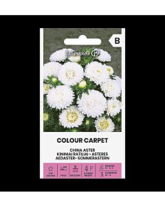 Астра бяла ASTER CHINA, COLOUR CARPET WHITE - 'SK - 0.5г