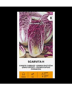 Китайско зеле SCARVITA H - 'SK- 12 семена