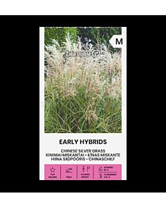 СК КИТАЙСКА СРЕБЪРНА ТРЕВА CHINESE SILVER GRASS EARLY PAKHYBRIDS