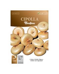 Лук BORETTANA - MEGA PACK - BL