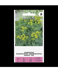СК СЕМЕНА СЕДЕФЧЕ COMMON RUE