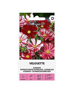 СК СЕМЕНА КОСМОС VELOUETTE