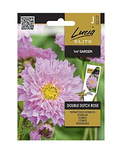 СЕМЕНА КОСМОС DOUBLE DUTCH ROSE - СК