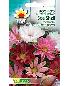 Космос Sea Shell - Cosmos Sea Shell