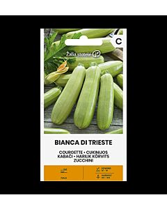 СК СЕМЕНА ТИКВИЧКИ COURGETTE BIANCA DI TRIESTE