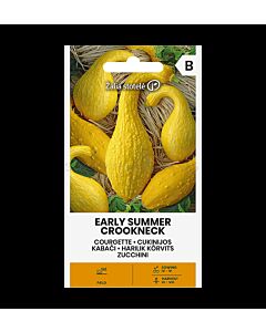 СК СЕМЕНА ТИКВА КРИВОШИЙКА - SQUASH, EARLY SUMMER CROOKNECK