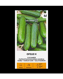 СК Краставици Офелия Х CUCUMBER OFELIE H
