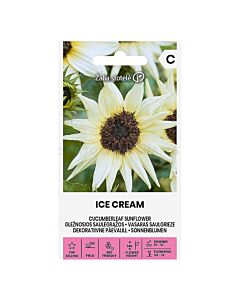 СЕМЕНА СЛЪНЧОГЛЕД  ICE CREAM СК