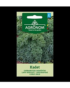 СК СЕМЕНА КЕЙЛ KADET