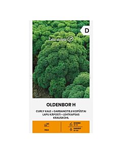 СК СЕМЕНА КЕЙЛ OLDENBOR H