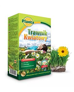 ПЛАНТА ТРЕВНА СМЕС ЦЪФТЯЩА 500Г