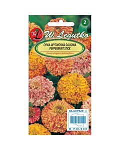 Циния елеганс микс Peppermint Stick, Candy Stripe - Zinnia elegans (1.00g) - Legutko