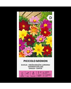 Далия PICCOLO MIGNON - 'SK -1г
