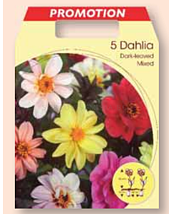 Далия Дарклийвд микс / Dahlia darkleaved / 1 оп ( 5 бр )