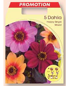 Далия щастливец микс / Dahlia happy single mixed / 1 оп ( 5 бр )