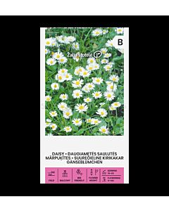 СК ПАРИЧКИ БЕЛИ - DAISY ENGLISH, WHITE