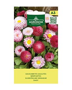 СЕМЕНА МАРГАРИТКИ DAISY - СК