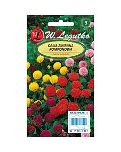ЛГ ДАЛИЯ ПОМПОН Dahlia variabilis Pompon tall mixture  