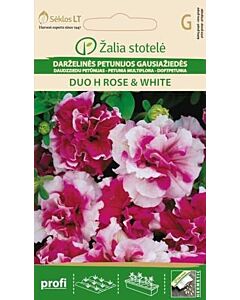 Семена Петуния розово-бяла / PETUNIA MULTIFLORA DUO H ROSE & WHITE / 'SK -1 оп