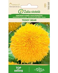 Семена Декоративен слънчоглед / SUNFLOWER TEDDY BEAR / 'SK -1 оп