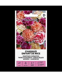 СК Карамфил Шабо ENFANT DE NICE