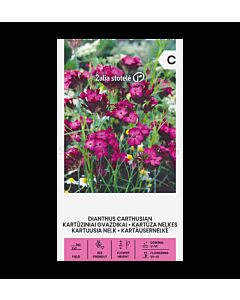 Карамфил картезиански DIANTHUS CARTHUSIAN - 'SK - 0.5г