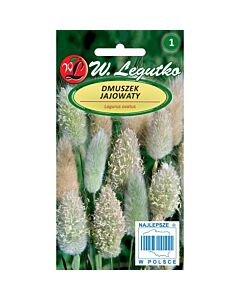 ЛГ ЛАГУРУС Lagurus ovatus straw