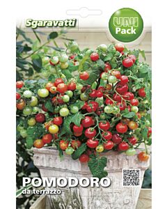 Семена домати балконски`SG 