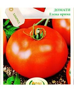 Семена Домати Елена F1 