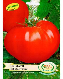 Сорт домати Фантазия. Аграра ООД. Сортови семена Варна
