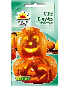 ТИКВА БИГ МАКС - Dynia Big Max - 4 г