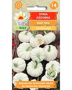 Декоративна тиква Baby Boo - CUCURBITA PEPO - 2g
