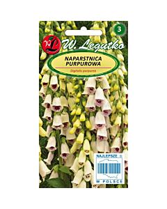 Дигиталис (Напръстник) Elsie Kelsey-бяло с червено-Digitalis purpurea (0.10g) - Legutko