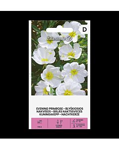 СК СЕМЕНА ВЕЧЕРНА ИГЛИКА БЯЛА PRIMROSE, PALE EVENING WHITE