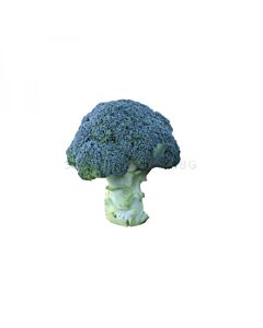СЕМЕНА БРОКОЛИ 1000С BROCCOLO EX-BRC16 F1