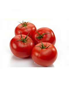 СЕМЕНА ДОМАТИ РЕД БИЙФ 100С  EX-TBF04 RED BEEF 100С